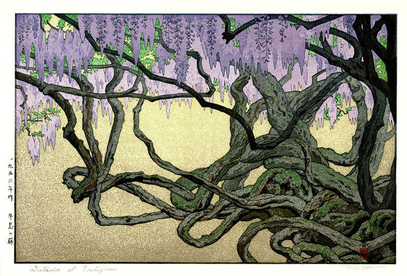 Yoshida Toshi 1953 Wisteria