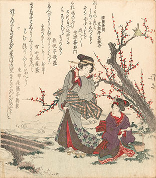 Eisen gathering 7 herbs